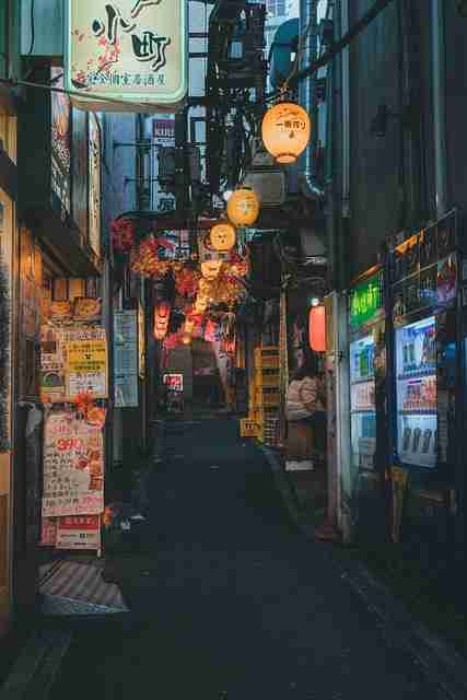 创作者计划新91视频——新版亮相全网热搜